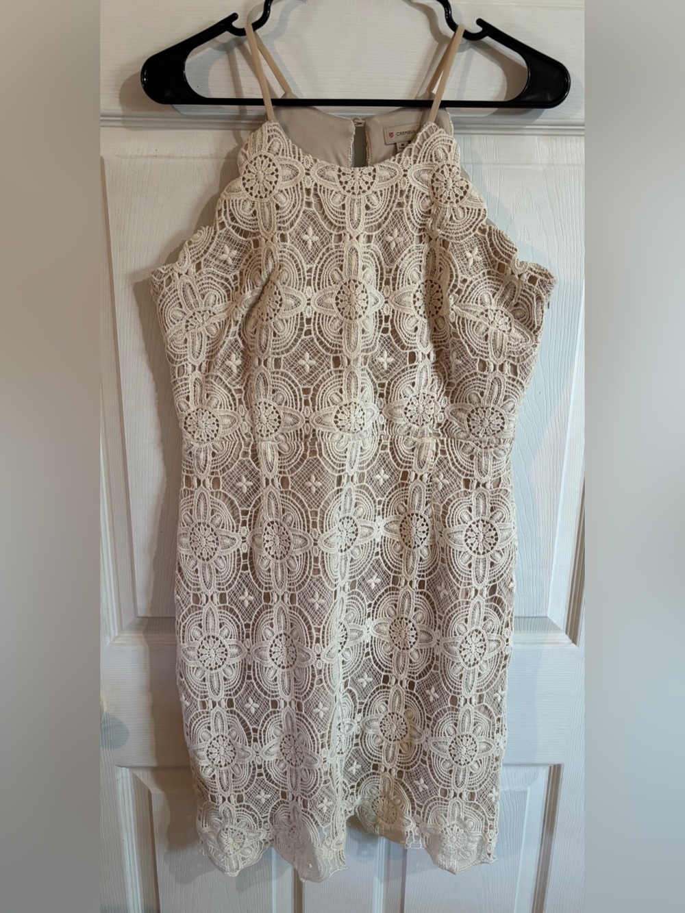 Daniel Cremieux Lace Strapless Dress in Cream